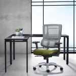 Mesh Task Chair with Lumbar Support