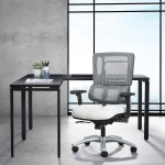 Mesh Task Chair with Lumbar Support