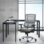 Mesh Task Chair with Lumbar Support