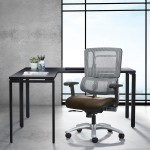 Mesh Task Chair with Lumbar Support