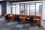 3 Person Workstation with Built-In Divider Panels