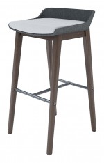 Modern Bar Stool