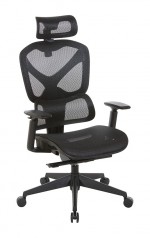 Mesh Office Chair with Headrest