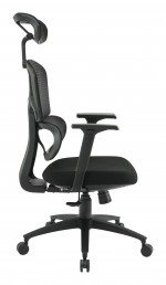 Ergonomic Desk Chair