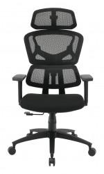 Ergonomic Desk Chair