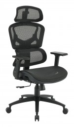 Ergonomic Desk Chair