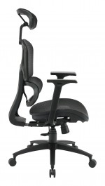 Ergonomic Desk Chair