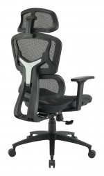 Ergonomic Desk Chair