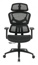 Ergonomic Desk Chair