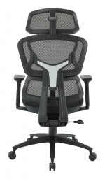 Ergonomic Desk Chair