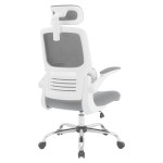 Mesh Back Office Chair