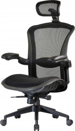 Ergonomic Computer Chair with Mesh Back and Headrest