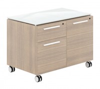 Rolling Storage Cabinet and Drawers Combo Unit