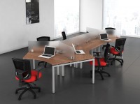 Dog Bone Workstation Desk