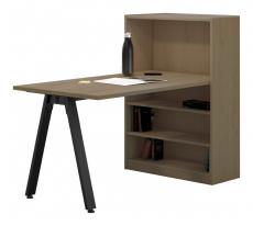 Desk and Bookcase Combo