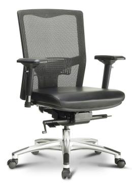 Mesh Back Task Chair with Lumbar Support - Argento Series