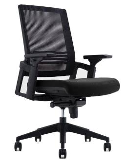 Mesh Back Task Chair with Lumbar Support - Forte
