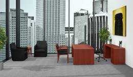 Rectangular Desk Set with Guest Seating