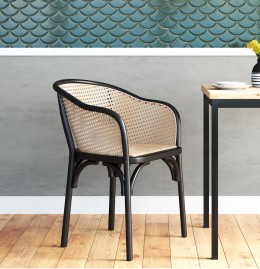 Modern Rattan Armchair