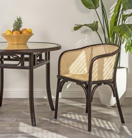 Modern Rattan Armchair 