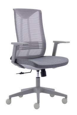 Mesh Back Task Chair with Lumbar Support - Bella Series