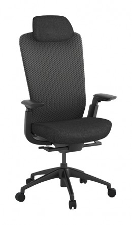Ergonomic Desk Chair
