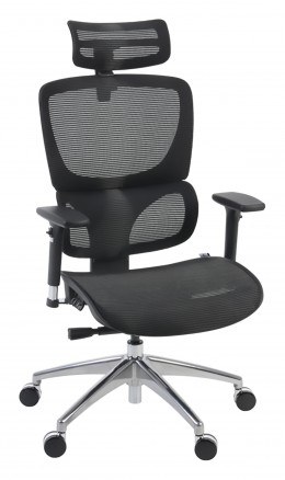 Ergonomic Executive Chair