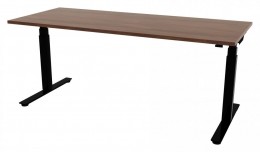 Electric Sit Stand Desk