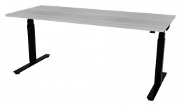 Electric Sit Stand Desk