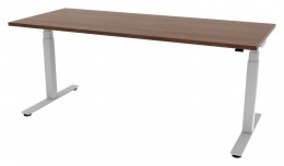 Electric Sit Stand Desk