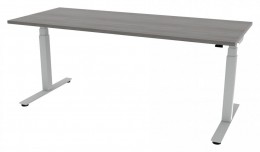 Electric Sit Stand Desk