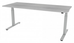 Electric Sit Stand Desk