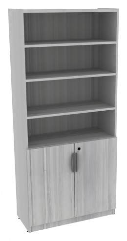 Bookcase with Locking Doors