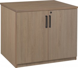 Storage Cabinet with Doors