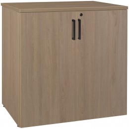 Storage Cabinet with Lock