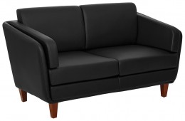 Office Loveseat Couch