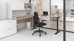 Sit Stand L Shape Desk with Storage