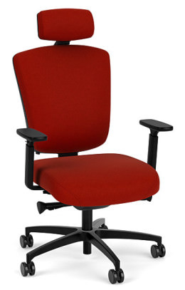 Ergonomic Heavy Duty Chair with Lumbar Support