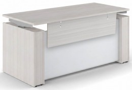 Standing Desk with Glass Modesty Panel