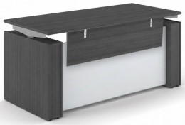 Standing Desk with Glass Modesty Panel
