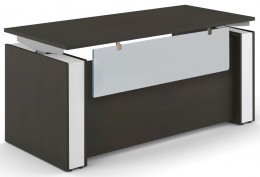Sit Stand Desk with Acrylic Modesty Panel