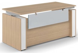 Sit Stand Desk with Acrylic Modesty Panel