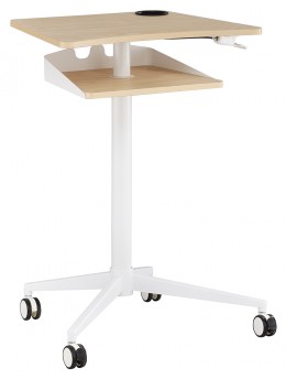 Mobile Workstation