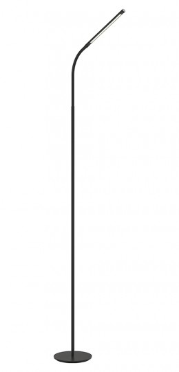 Gooseneck Floor Lamp