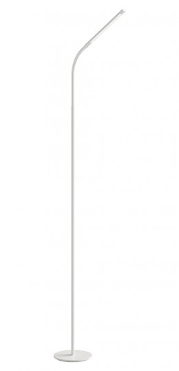 Gooseneck Floor Lamp