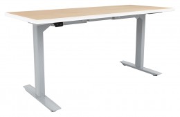 Electric Sit Stand Desk