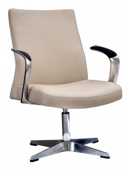Mid Back Executive Guest Chair - Leo Series