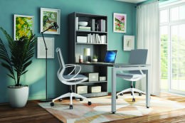 Desk and Bookcase Combo