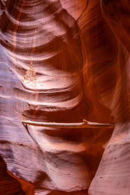 Lodged in Antelope Canyon - Office Wall Art - Desert Southwest