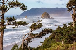 Cannon Beach - Office Wall Art - Pacific Nothwest Series